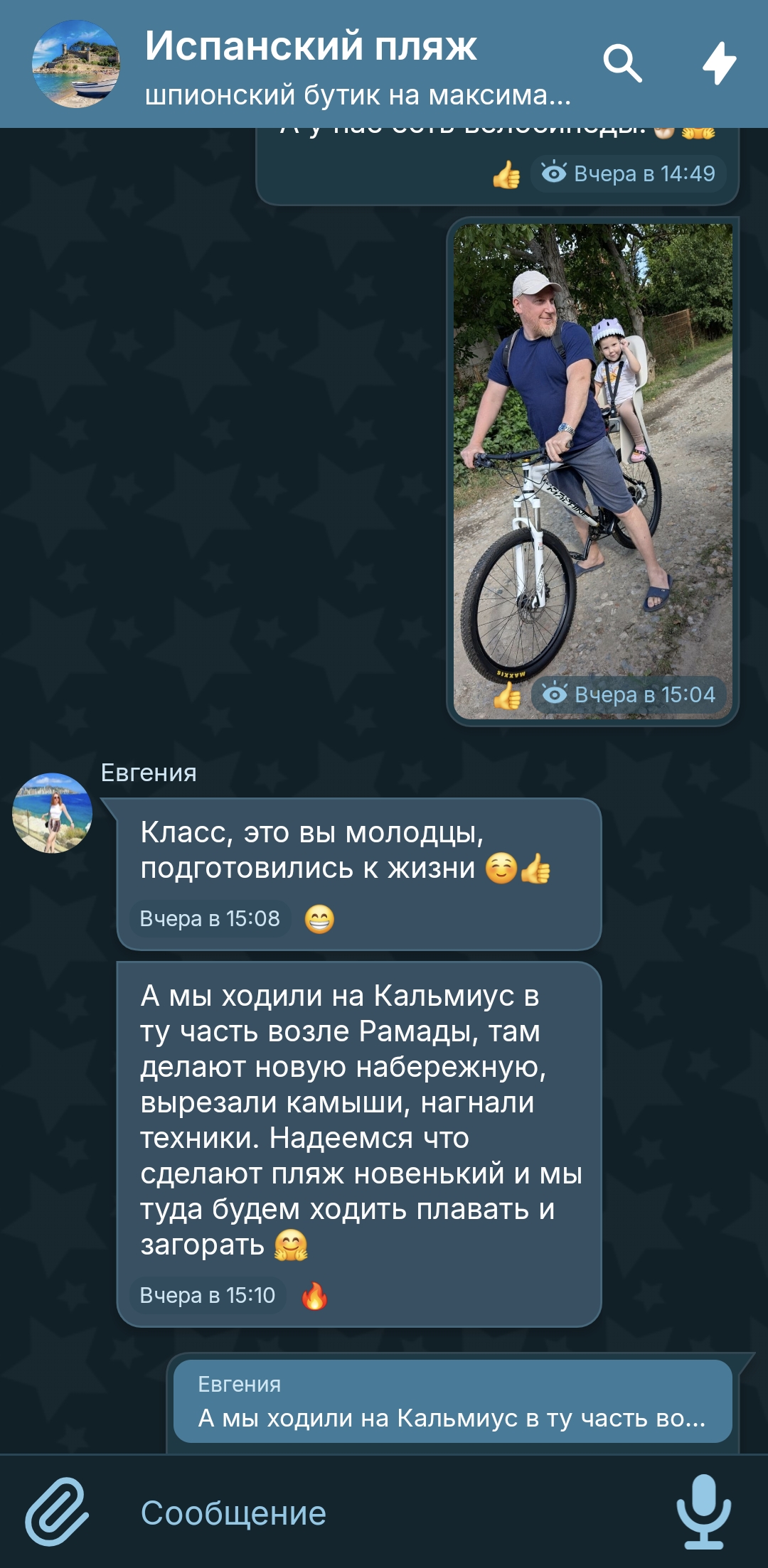 Скриншот plotochat